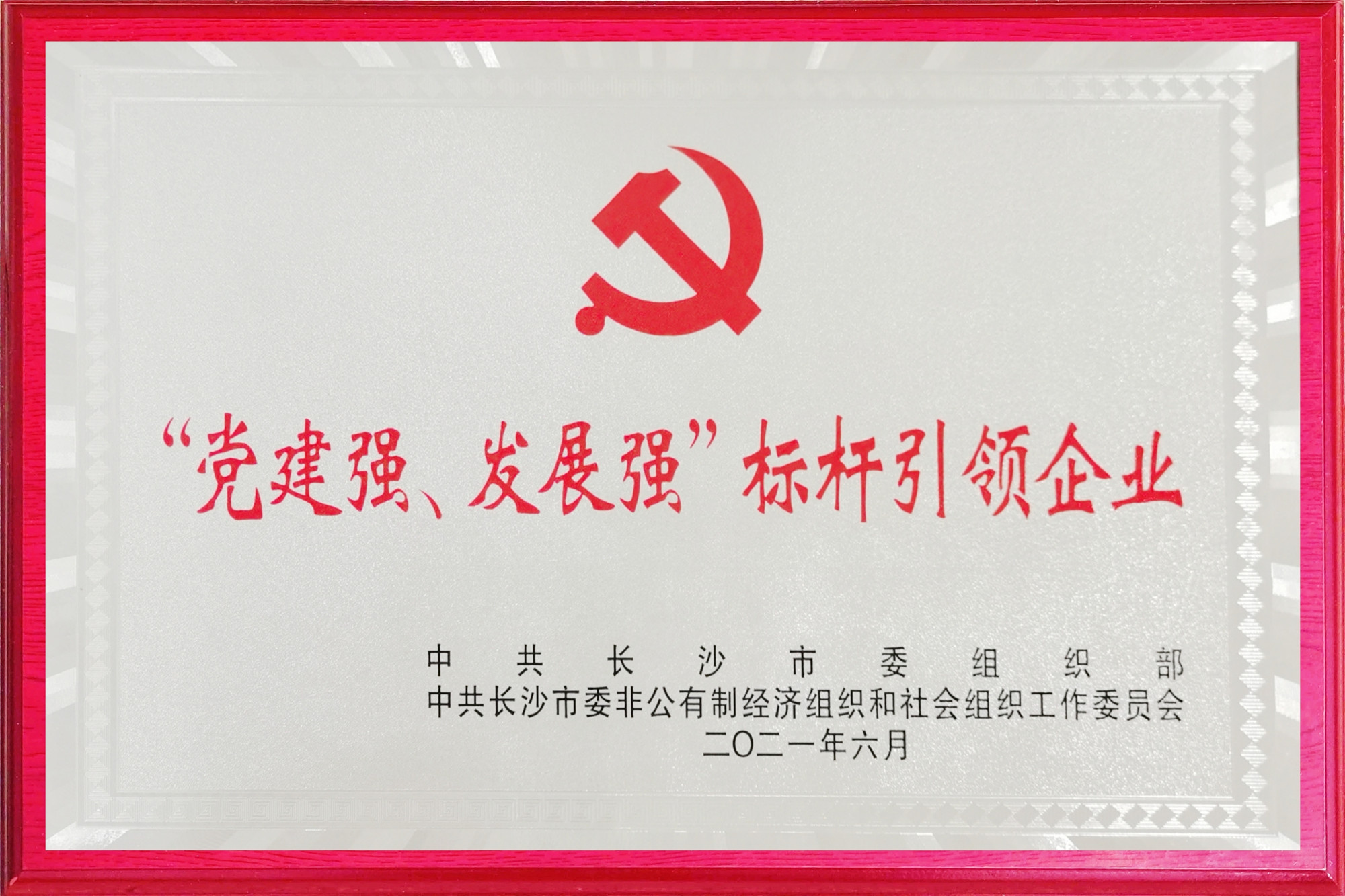 拉斯维加斯3499进入网站荣获长沙市两新领域“党建强、发展强”标杆引领企业