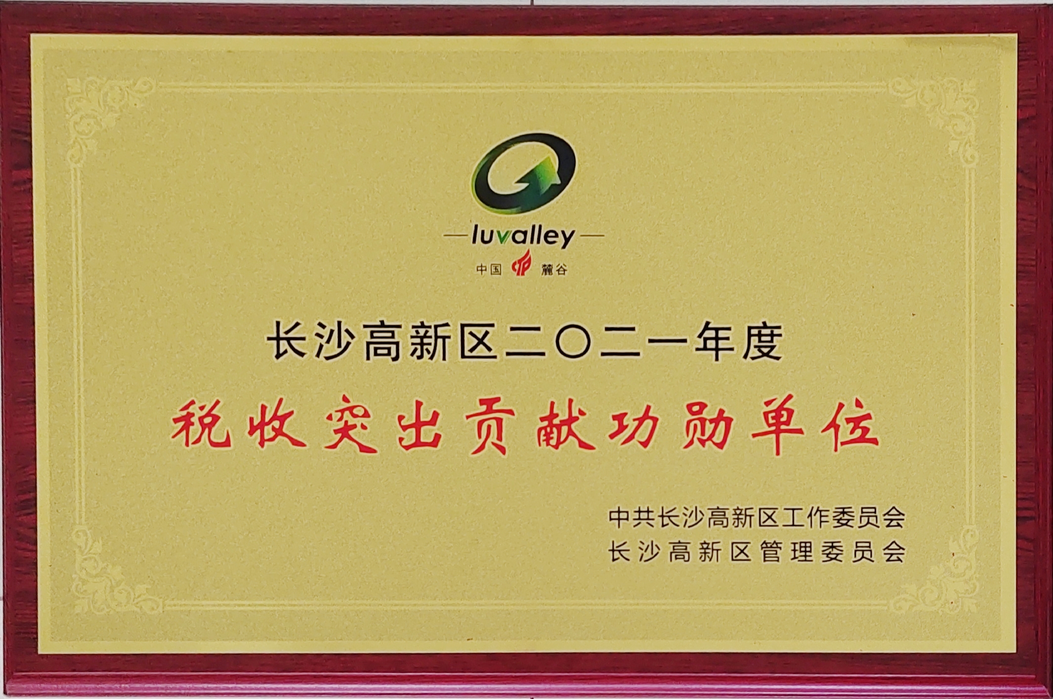 拉斯维加斯3499进入网站蝉联长沙市高新区“税收突出贡献功勋单位”！